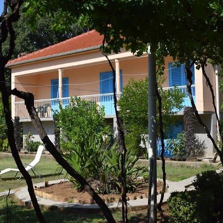 Apartman Morovic Sveti Filip i Jakov Esterno foto